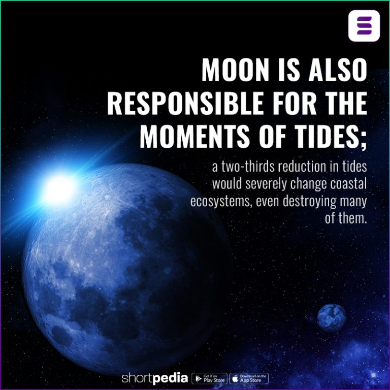 What Will Happen If The Moon Suddenly Disappeared